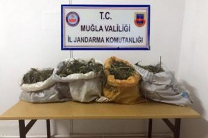 10 kilogram kubar esrar ele ge&ccedil;irildi