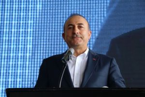 &Ccedil;in'e tarım &uuml;r&uuml;n&uuml; ihracatı &ouml;n&uuml;ndeki engeller kalkıyor