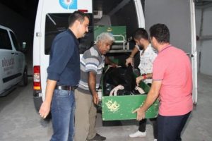 Ormanlık alanda erkek cesedi bulundu