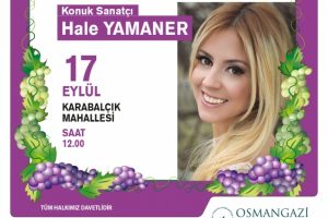 Bursa Osmangazi'de &Uuml;z&uuml;m Festivali