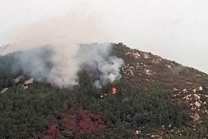 Milas'ta &ccedil;ıkan orman yangını kontrol altına alındı