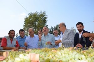 AK Parti Bursa Milletvekili M&uuml;ezzinoğlu: "İznik d&uuml;nyaya lezzet dağıtıyor"