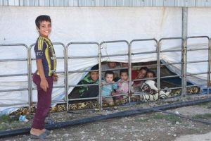 &Ccedil;anakkale'deki milyonluk tesis Suriyeli g&ouml;&ccedil;menlerin &ccedil;iftliği oldu!