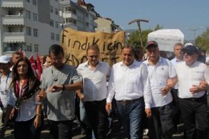 CHP'nin 'fındık y&uuml;r&uuml;y&uuml;ş&uuml;' başladı