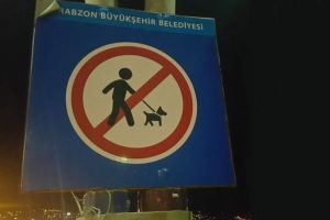 Trabzon'da tepki &ccedil;eken levha