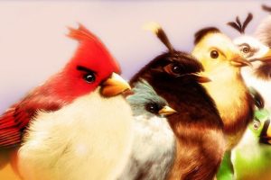 Angry Birds'&uuml;n geliştiricisi, 1 milyar dolar değerleme bekliyor