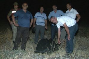 Avda kalbine yenik d&uuml;şt&uuml;