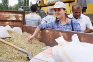 Kinoa hasadı y&uuml;z g&uuml;ld&uuml;rd&uuml;