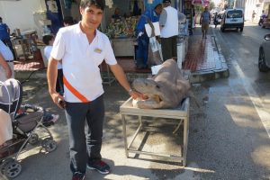 Bursa'da Alzheimer hastalarına k&ouml;pek balığı umut oldu