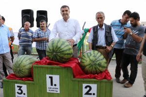 Diyarbakır'da en ağır karpuz yarışması