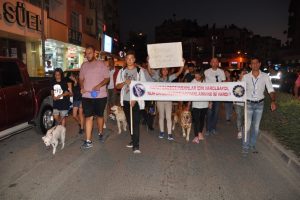 Tekme atılan k&ouml;pek i&ccedil;in y&uuml;r&uuml;d&uuml;ler