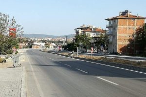 Bursa'da sahipsiz eşek sürücülere zor anlar yaşattı