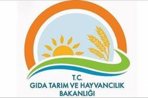 Takviye edici gıda &uuml;r&uuml;nleri i&ccedil;in s&uuml;re uzatımı