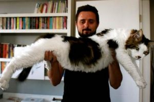7,5 kiloluk "Şevki" g&ouml;renleri şaşırtıyor