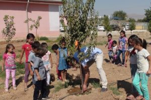 Okulun bah&ccedil;esini meyve bah&ccedil;esine d&ouml;n&uuml;şt&uuml;rd&uuml;ler