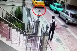 Taksici k&ouml;peği ezip ardına bakmadan ka&ccedil;tı!