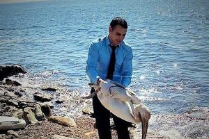 Yaralı pelikanı duyarlı vatandaş kurtardı