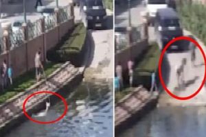 Eskişehir'de inanılmaz g&ouml;r&uuml;nt&uuml;! Atı b&ouml;yle kurtardılar