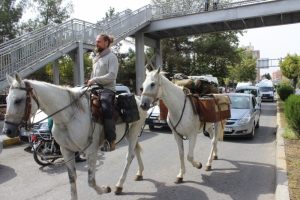 Polonyalı gezgini 'Diriliş Ertuğrul' oyuncusu sandılar