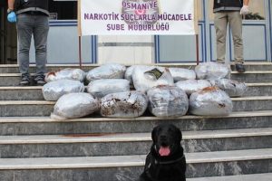 Narkotik k&ouml;peği esrarı bulamasın diye bagaja kahve d&ouml;km&uuml;ş