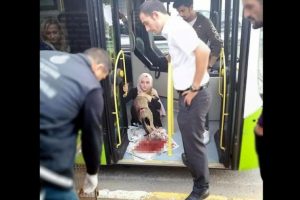 Kocaeli'de otob&uuml;s şof&ouml;r&uuml; &ccedil;arptığı k&ouml;peği &ccedil;ağırdığı g&ouml;revlilere teslim etti