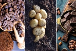 &Ccedil;ikolata, patates ve kahve 2055'e kadar yok olabilir