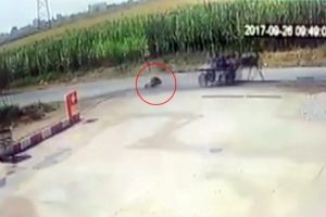 Kadın d&uuml;şt&uuml;, at arabası yoluna devam etti