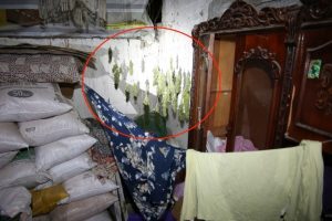 Askıda &ccedil;amaşır değil esrar kurutmuşlar