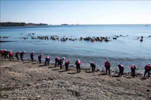 Japonya'daki tsunami 1 milyon deniz canlısını ABD kıyılarına taşıdı