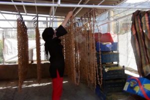 &Uuml;z&uuml;m&uuml;n pestil, pekmez ve sucuk yolculuğu başladı