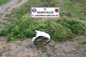 Sakarya'da uyuşturucu operasyonu