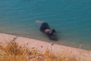 Sulama kanalında kadın cesedi bulundu