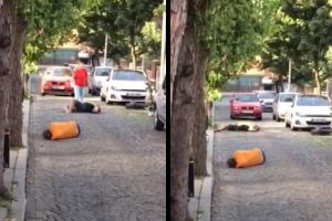 Şehrin g&ouml;beğinde ibretlik bonzai krizleri!