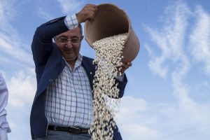 10 bin ton kuru fasulye hasadı bekleniyor