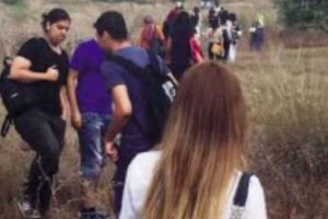 Fak&uuml;lte yolunda taciz i&ccedil;in belediye harekete ge&ccedil;ti