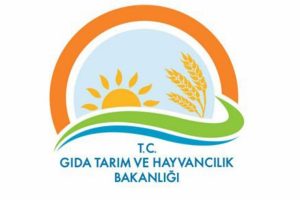 Bakanlıktan "Suriyelileri g&ouml;ndermeyeceğiz" ifadesine ilişkin a&ccedil;ıklama