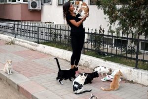 Okulda artan yemeklerle sokak kedilerini besliyor