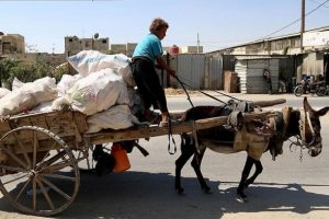 Doğu Guta'da kuşatmanın y&uuml;k&uuml; hayvanların omzunda