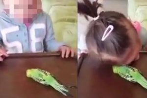"&Ouml;ld&uuml;rd&uuml;n kuşu" diyerek kızını b&ouml;yle ağlattı