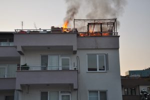 Bursa'da &ccedil;ıkan yangında 50 bin liralık g&uuml;vercin telef oldu