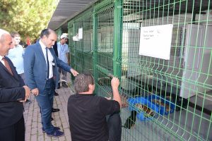 Bursa Yıldırım'da can dostları sahipsiz değil