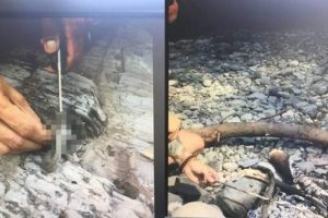 Ka&ccedil;ak avladı, sosyal medyada paylaşınca cezayı yedi