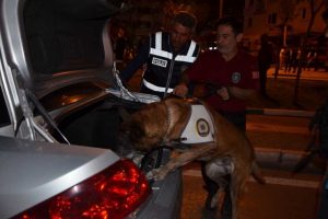 Bursa Gemlik'te 500 polisle huzur operasyonu