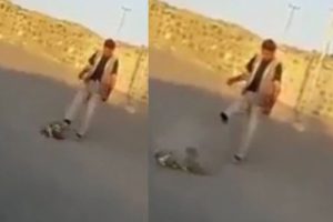 Ağrı'da yavru k&ouml;peğe işkence yapan kişi hakkında yakalama kararı