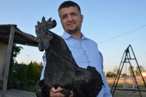 Hobi olarak 'servet' yetiştiriyor