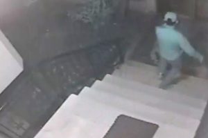 &Ccedil;aldıkları k&ouml;peği geri getiren hırsızlar kamerada!