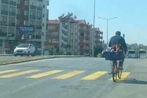 Bisikletle meyve kasasında yolculuk