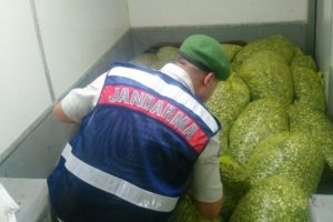 Bursa Karacabey'de 1 ton 200 kilo ka&ccedil;ak midye ele ge&ccedil;irildi