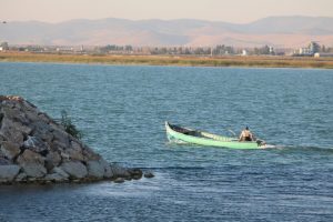 Beyşehir'de, bilinçsiz avlanma balıkçılığı bitirecek!