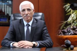 Bursa'da sofralık zeytinde y&uuml;zde 100 artış bekleniyor
